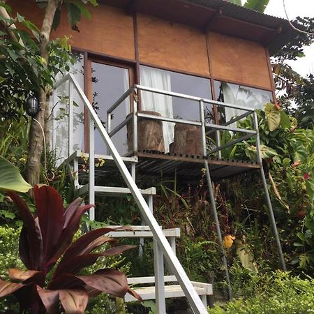 Jungleadventure Cabin Camping ブドゥグル エクステリア 写真