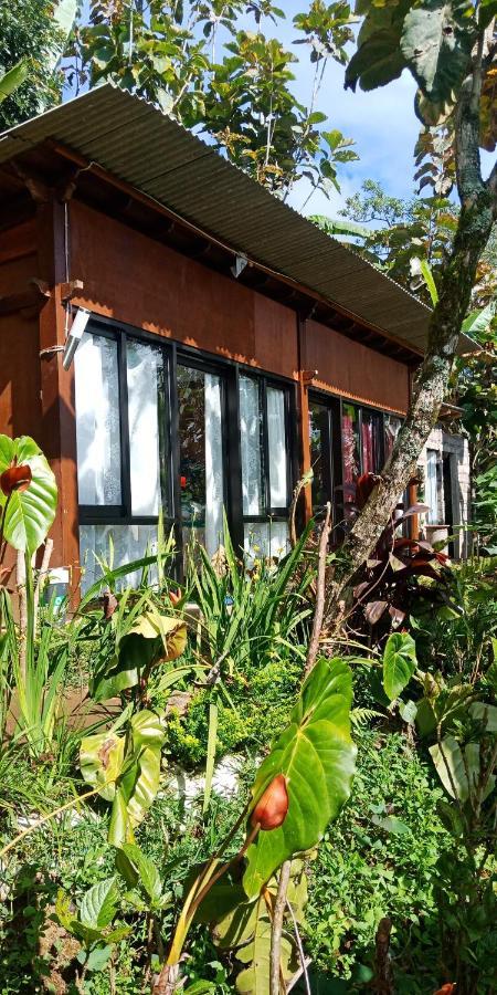 Jungleadventure Cabin Camping ブドゥグル エクステリア 写真