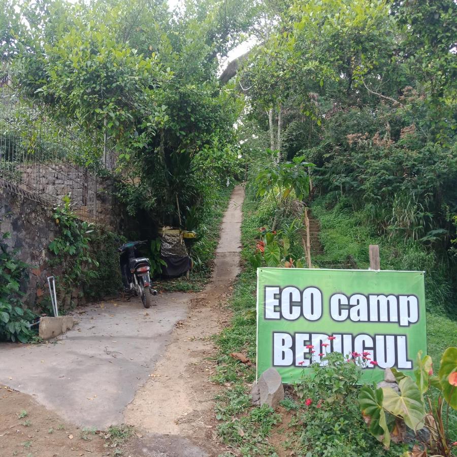 Jungleadventure Cabin Camping ブドゥグル エクステリア 写真