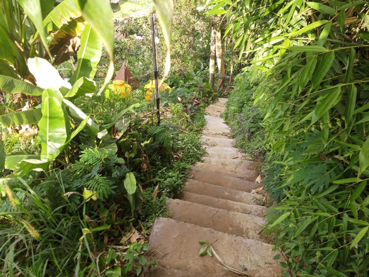 Jungleadventure Cabin Camping ブドゥグル エクステリア 写真